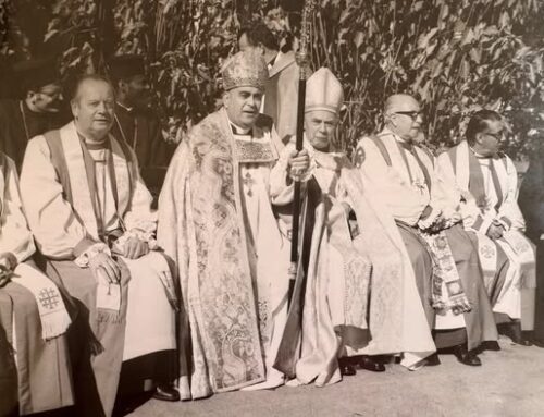 The Feast of the Epiphany, marks the fiftieth anniversary of the Episcopal Province of Jerusalem and the Middle East.